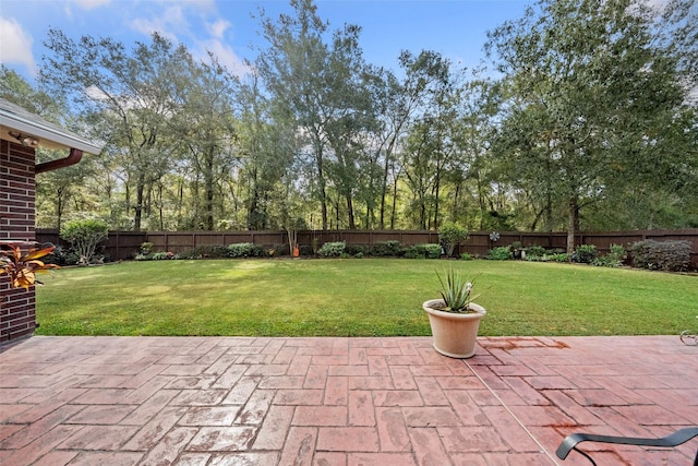 view of yard featuring a fenced backyard and a patio