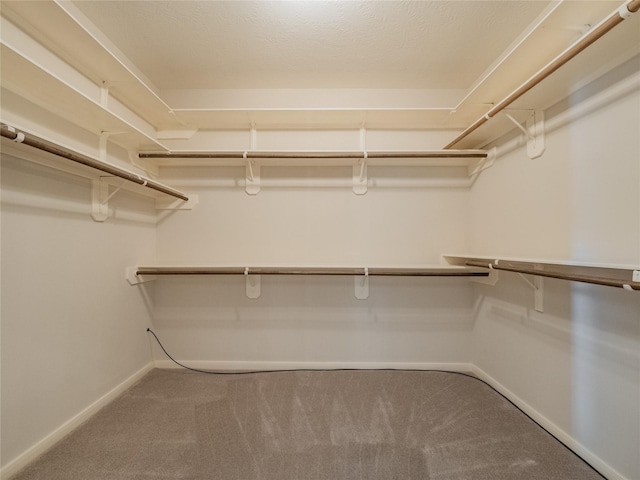 walk in closet featuring carpet flooring