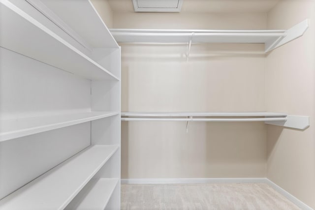 spacious closet with carpet floors