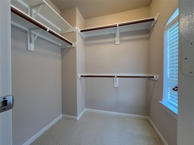 view of walk in closet