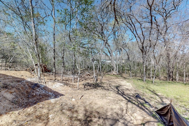 view of yard with a wooded view