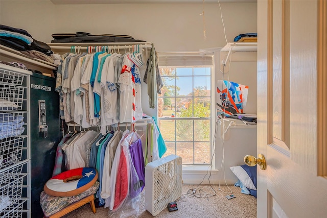 spacious closet with carpet flooring