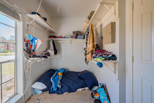 spacious closet featuring carpet flooring