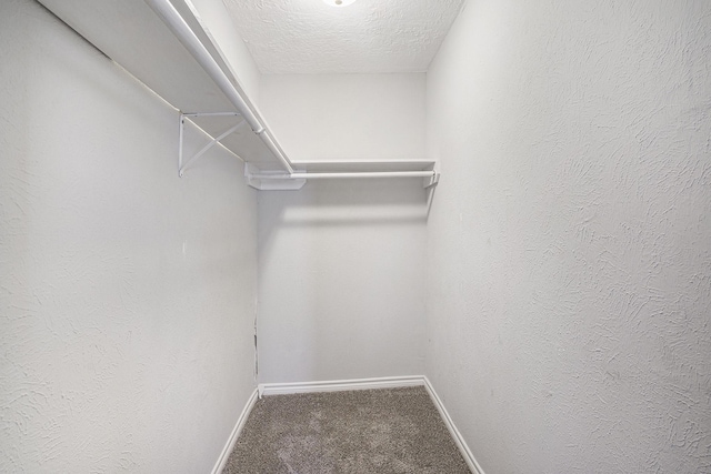 spacious closet featuring carpet floors