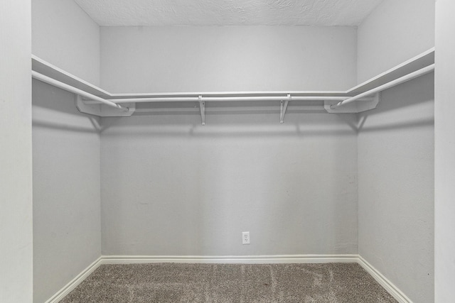 walk in closet featuring carpet floors