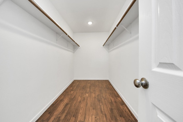 spacious closet with dark wood finished floors