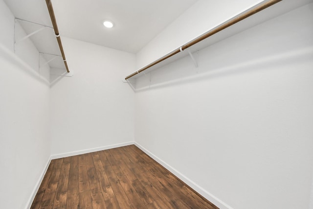 walk in closet with dark wood finished floors