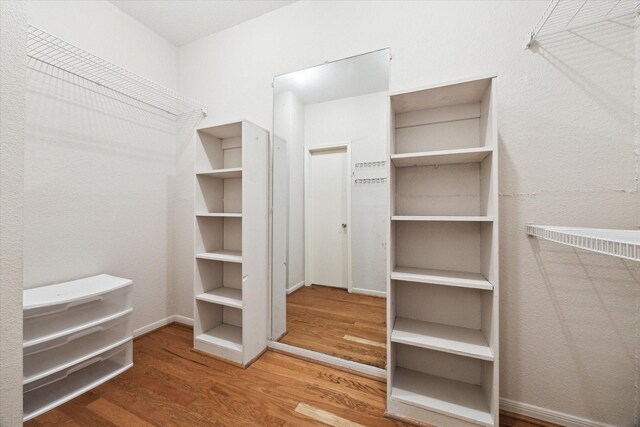 spacious closet featuring wood finished floors