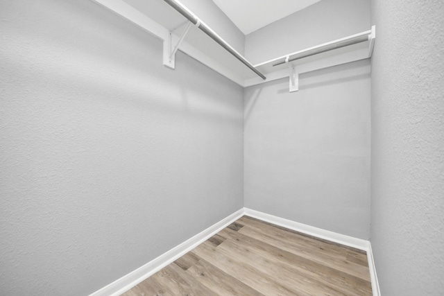 walk in closet featuring wood finished floors