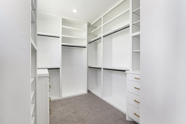 walk in closet with carpet