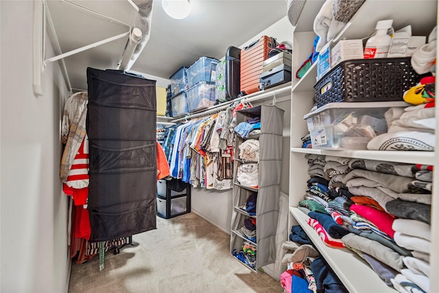 spacious closet featuring carpet flooring