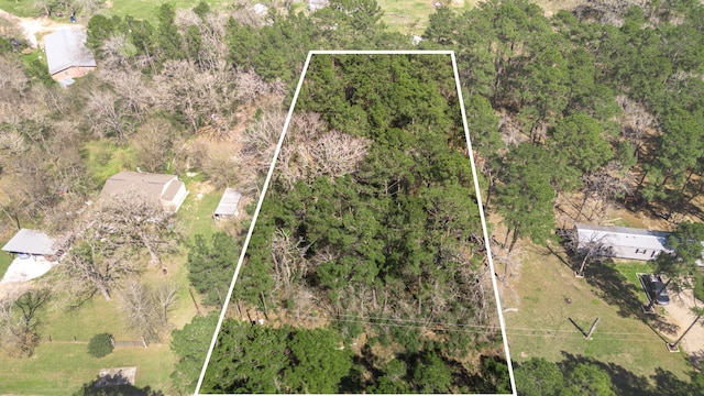 N/A Blue Lake Dr, Plantersville TX, 77363 land for sale