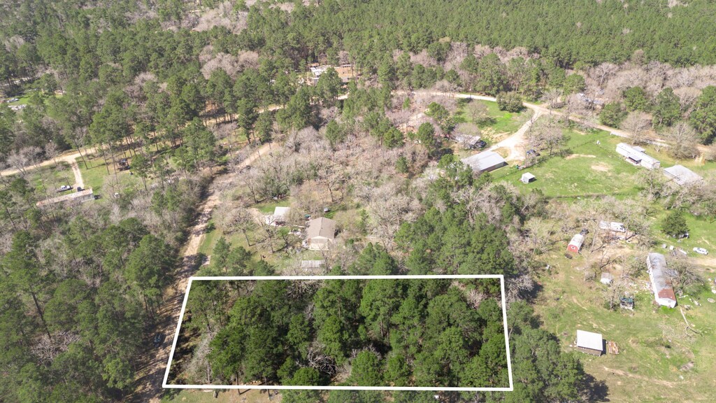 N/A Blue Lake Dr, Plantersville, TX 77363 - photo 1