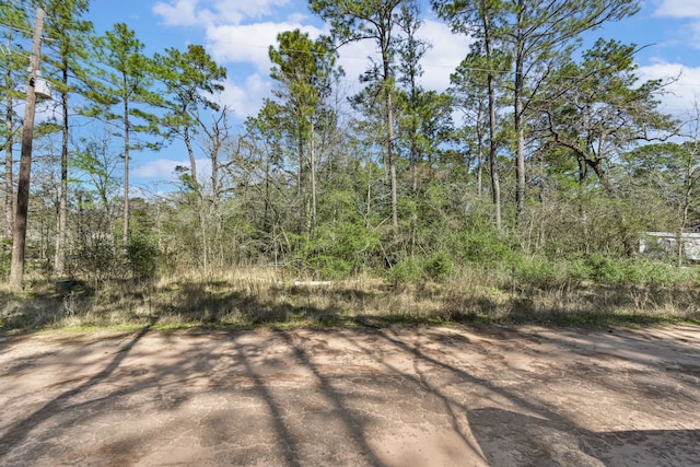 Listing photo 3 for N/A Blue Lake Dr, Plantersville TX 77363