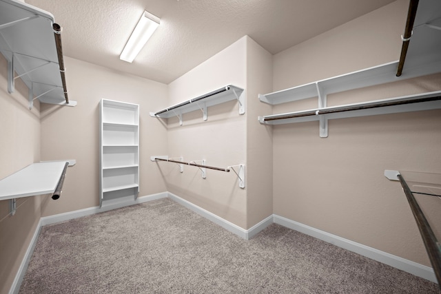 spacious closet with carpet flooring