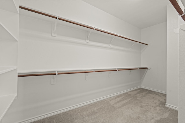 spacious closet featuring light carpet