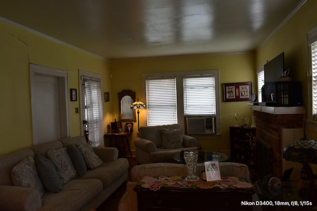 living area with a fireplace and crown molding