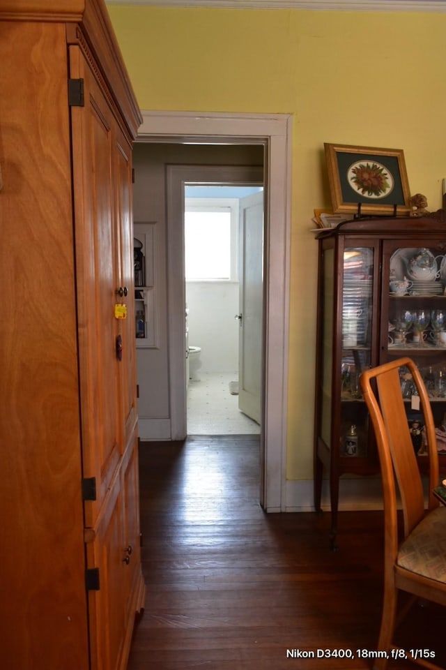 interior space with dark wood-type flooring