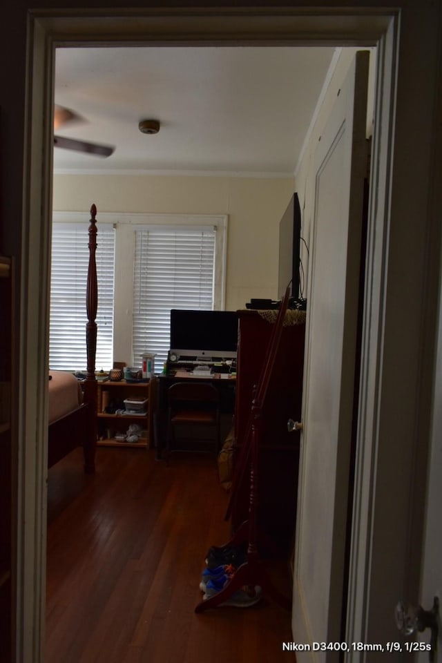 office area with dark wood-style floors and crown molding