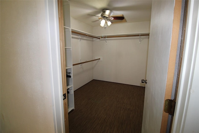 spacious closet with dark wood-type flooring and ceiling fan