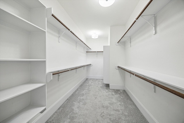 spacious closet featuring carpet