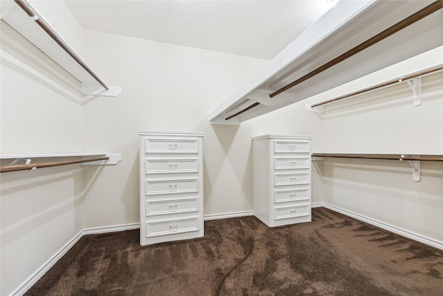 walk in closet with dark carpet