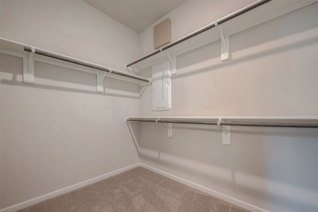 walk in closet featuring carpet flooring