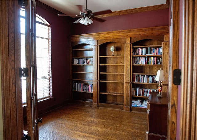 interior space featuring crown molding, ceiling fan, and wood finished floors