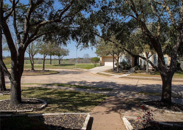 view of road featuring curbs and sidewalks