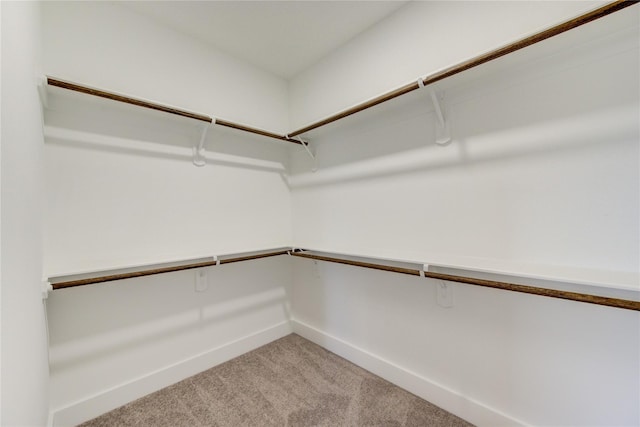 spacious closet featuring light colored carpet