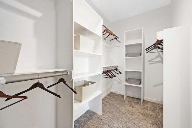 walk in closet with light carpet