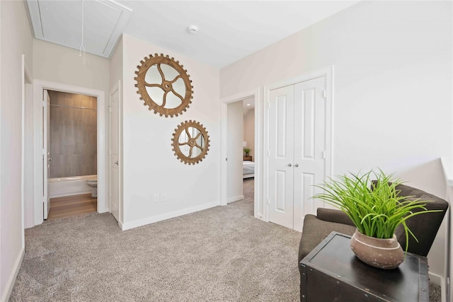 living area featuring attic access, baseboards, and carpet floors