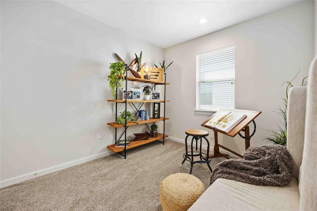 office space featuring baseboards and carpet floors