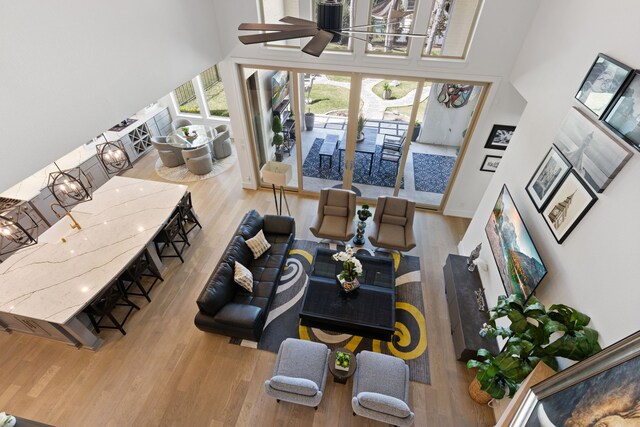 living area featuring a high ceiling and wood finished floors