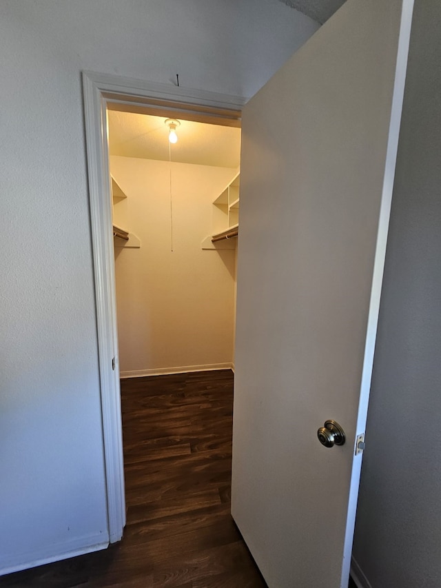 spacious closet with dark wood-style floors