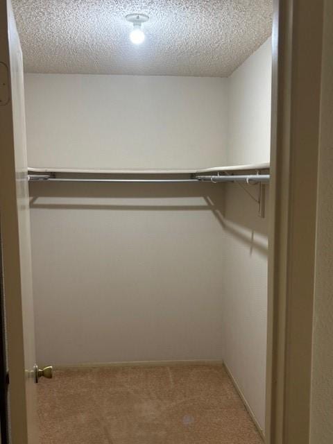 spacious closet with light carpet