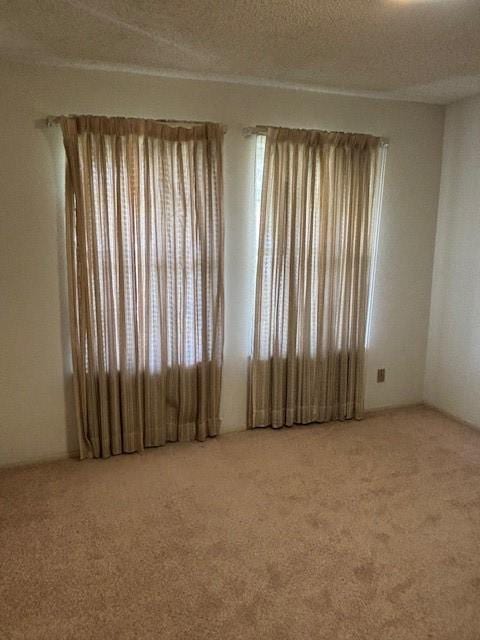 empty room featuring light colored carpet and a textured ceiling