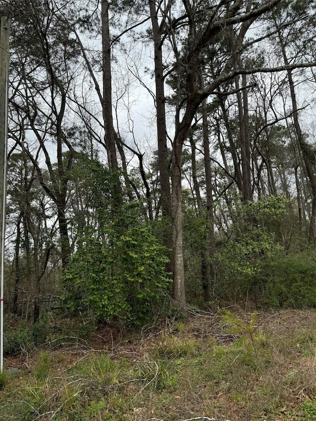 1611 Athens Dr, Roman Forest, TX 77357