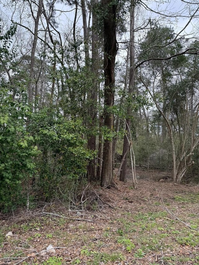 1611 Athens Dr, Roman Forest, TX 77357