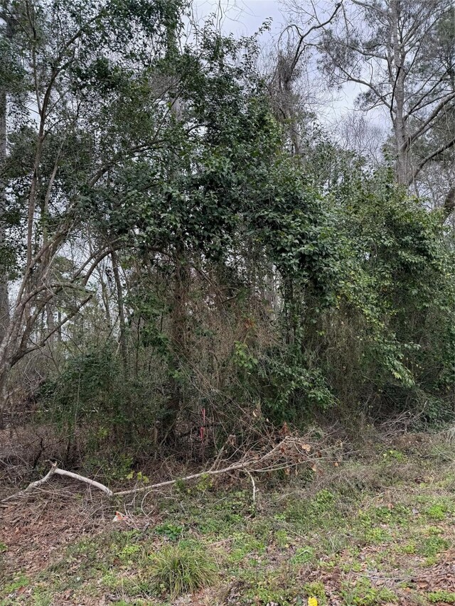 1611 Athens Dr, Roman Forest, TX 77357