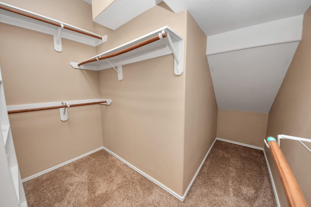 spacious closet with carpet flooring