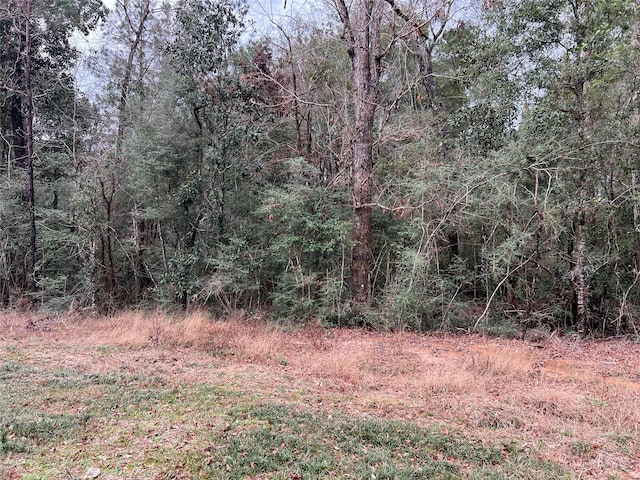 TBD Road 2723, Cleveland TX, 77327 land for sale