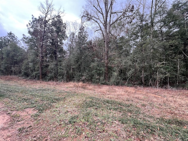 Listing photo 3 for TBD Road 2723, Cleveland TX 77327