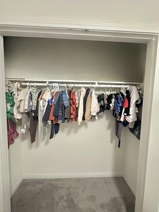 view of closet