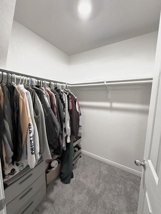 spacious closet featuring carpet floors