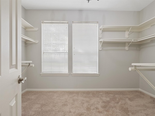 23134 Beech Canyon Dr, Katy, TX 77494 - spacious closet with carpet floors