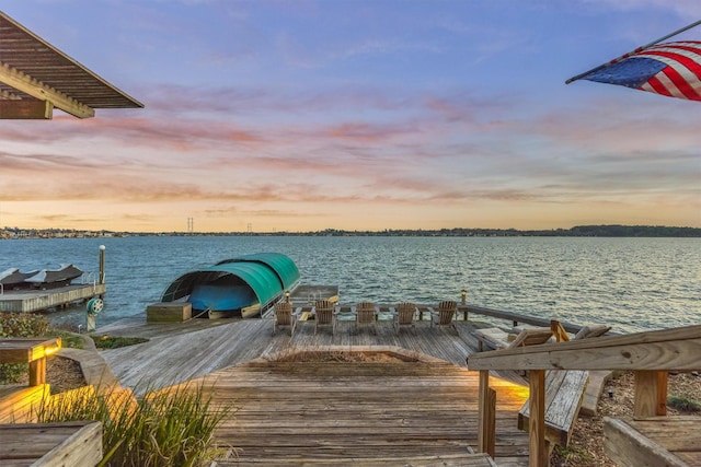 dock area with a water view