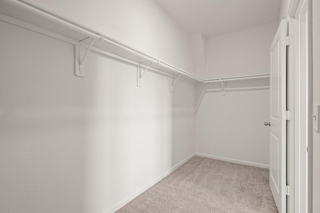 walk in closet featuring light colored carpet