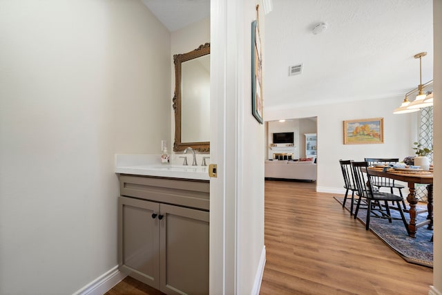 interior space featuring visible vents, baseboards, vanity, wood finished floors, and a textured ceiling