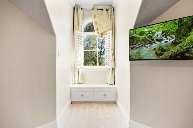 interior space featuring light colored carpet and baseboards